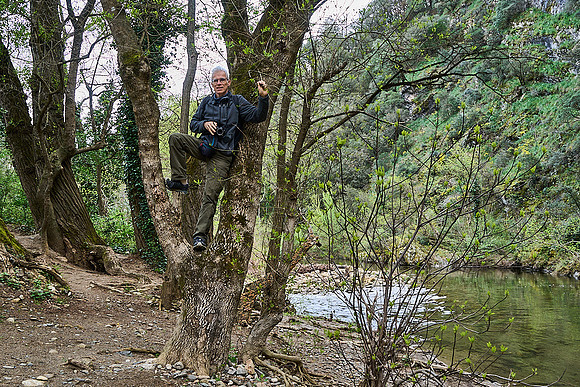 Frejo_(c)_Nadja Meister_DSC04539