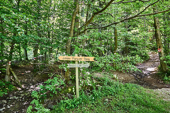 Wanderung Schöpfl_(c)_Nadja Meister_IMG_9385