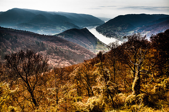 Aggstein_(c)_Nadja Meister_IMG_9938