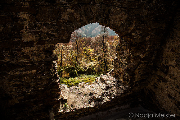 Aggstein_(c)_Nadja Meister_IMG_9945