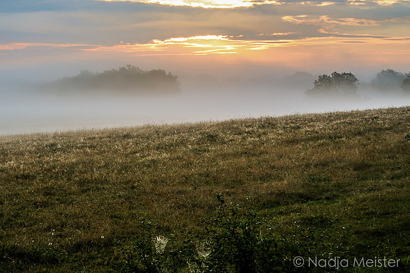Trebonsko_(c)_Nadja Meister_IMG_0731