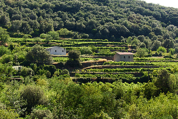 Roquebrun & Orb Valley_(c)_Nadja Meister_IMG_0680