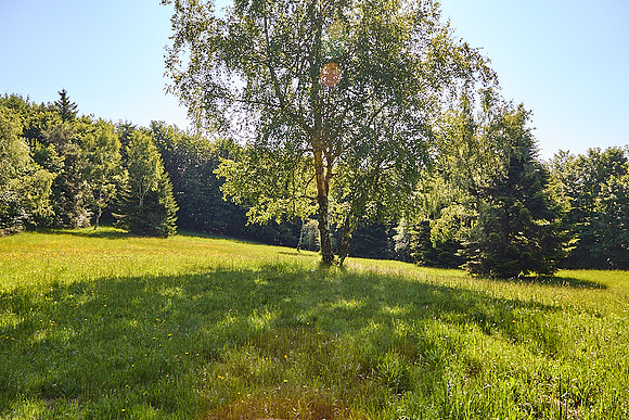Wanderung Schöpfl_(c)_Nadja Meister_IMG_9326