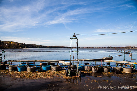 Jaroslavice_Abfischen_(c)_Nadja Meister_IMG_0085