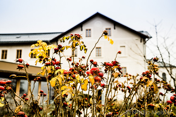 Ehemaliges_Kloster Hochstrass_(c)_Nadja Meister_DSC00312