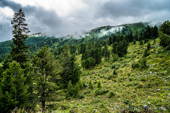 Kärnten_Nockberge_(c)_Nadja Meister_DSC00025
