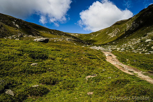 Kärnten_Nockberge_(c)_Nadja Meister_DSC00077