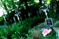 Friedhof der Namenlosen_(c)_Nadja Meister_