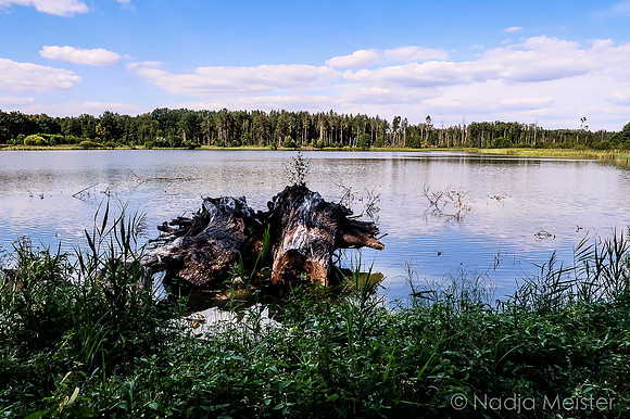 Trebonsko_(c)_Nadja Meister_IMG_0625