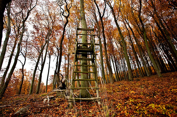 Wienerwald_by Nadja Meister_IMG_5765