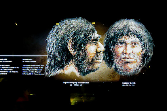 Archeopark Pavlov_by_Nadja Meister_IMG_5146
