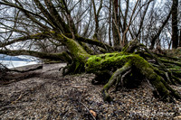 NP Park Donau Auen & Blick auf Devin_(c)_Nadja Meister_IMG_1825
