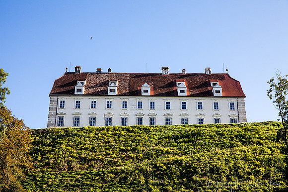 Landpartie WAGRAM_Stetteldorf Schloss&Platane_(c)_Nadja Meister_IMG_9255
