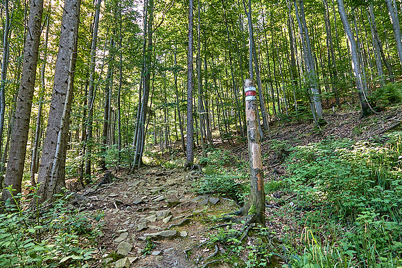 Wanderung Schöpfl_(c)_Nadja Meister_IMG_9310