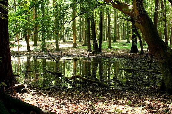 Wienerwald_by Nadja Meister_MG_2634