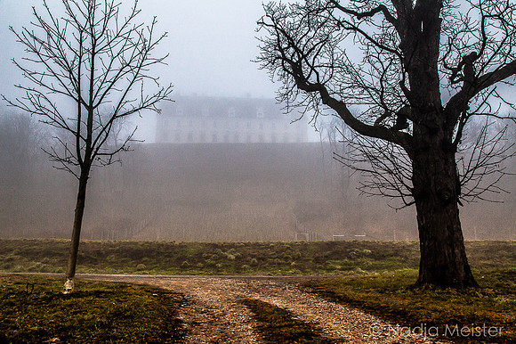 Landpartie WAGRAM_Stetteldorf Schloss&Platane_(c)_Nadja Meister_IMG_1070