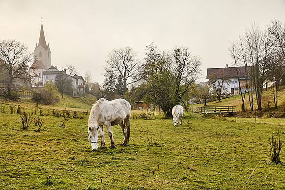 Schweiggers_(c)_Nadja Meister_IMG_8428