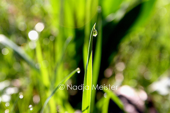 Archiv_by_Nadja Meister_IMG_1139