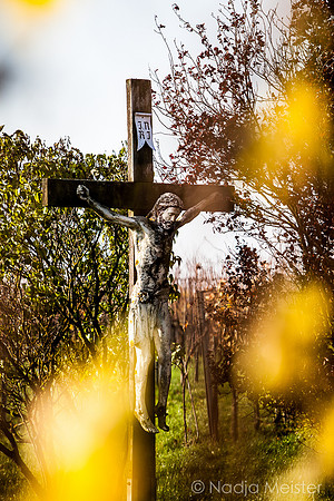 Landpartie WAGRAM_Blattgold&Blattrot_(c)_Nadja Meister_IMG_7070