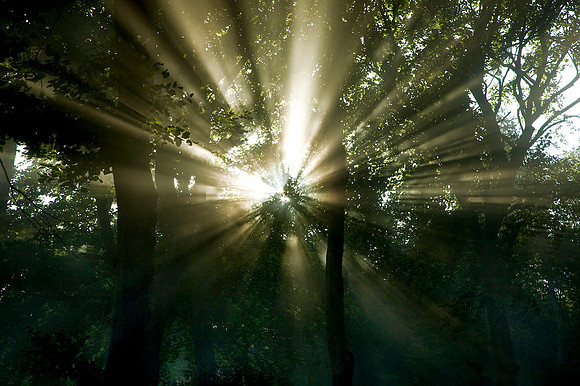 Wienerwald_by Nadja Meister_MG_0301