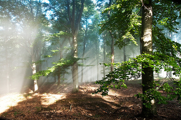 Wienerwald_by Nadja Meister_MG_0308