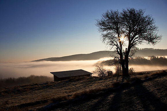 Wienerwald_by Nadja Meister_MG_5196