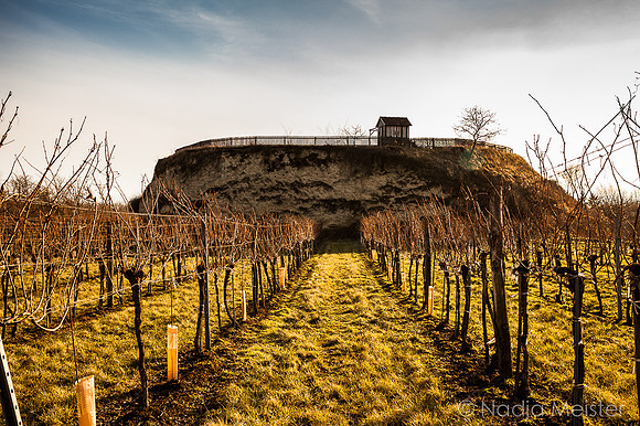 Landpartie WAGRAM_Mittelstockstall_(c)_Nadja Meister_IMG_9596