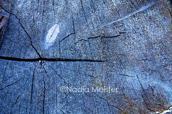 Archiv_by_Nadja Meister_IMG_0605