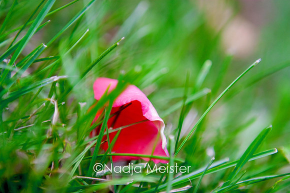 Archiv_by_Nadja Meister_IMG_4797
