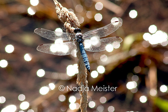 Archiv_by_Nadja Meister_IMG_1458