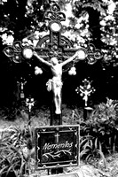 Friedhof der Namenlosen_(c)_Nadja Meister_