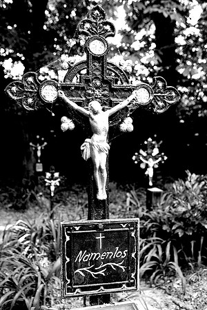 Friedhof der Namenlosen_(c)_Nadja Meister_
