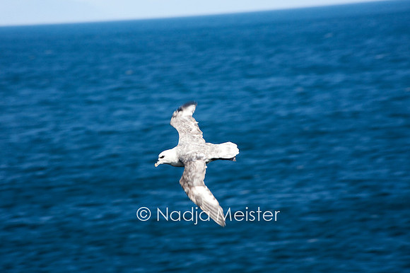 Archiv_by_Nadja Meister_IMG_0356