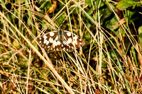 Weinkendorfer Remise_(c)_Nadja Meister_IMG_0203
