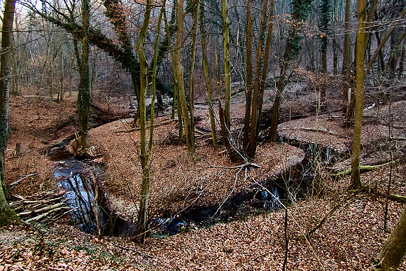 Hagenbachklamm_(c)_Nadja Meister_IMG_1746
