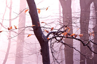 Wienerwald_by Nadja Meister_MG_5083