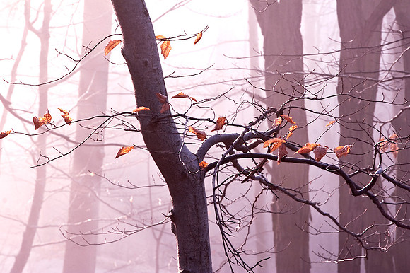 Wienerwald_by Nadja Meister_MG_5083