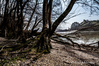 NP Park Donau Auen & Blick auf Devin_(c)_Nadja Meister_IMG_1822