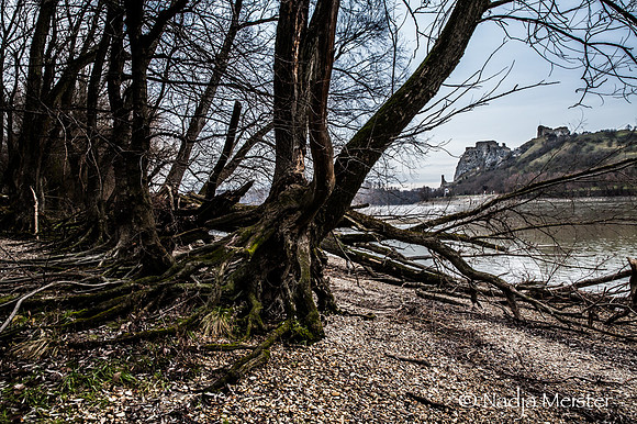 NP Park Donau Auen & Blick auf Devin_(c)_Nadja Meister_IMG_1822