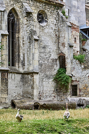 Schloss Pottendorf_(c)_Nadja Meister_IMG_0193