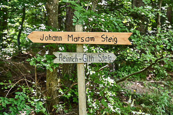Wanderung Schöpfl_(c)_Nadja Meister_IMG_9388