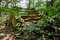 old homes in chesnut trees_(c)_Nadja Meister_IMG_0802