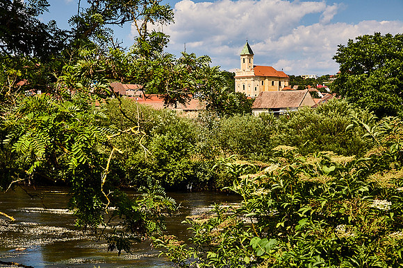Dyje_(c)_Nadja Meister_IMG_8695