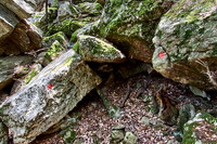 Gorges d´Heric region_(c)_Nadja Meister_IMG_0728