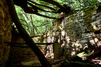 old homes in chesnut trees_(c)_Nadja Meister_IMG_0784