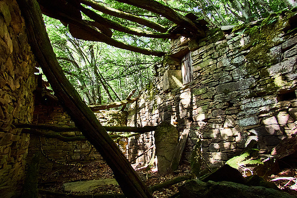 old homes in chesnut trees_(c)_Nadja Meister_IMG_0784