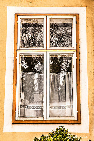 V4F 2022_FensterGALERIE Wagram_(c)_Nadja Meister_IMG_1556