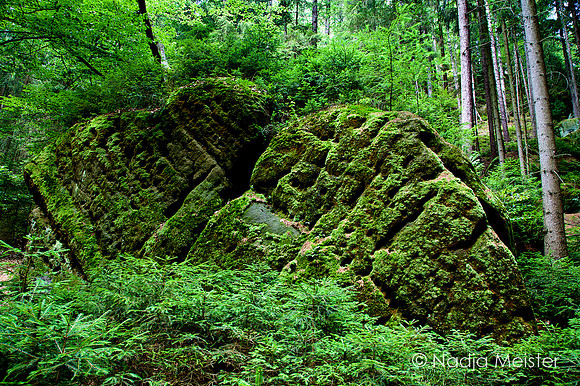 Sächsische Schweiz_by_Nadja Meister_IMG_7662