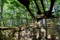 old homes in chesnut trees_(c)_Nadja Meister_IMG_0783