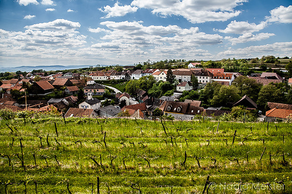 Landpartie WAGRAM_Orte Spaziergang_(c)_Nadja Meister_IMG_9168